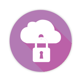 Data security icon